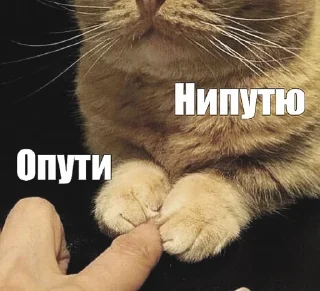 💔 emoji myr уля Telegram sticker 22 of 66