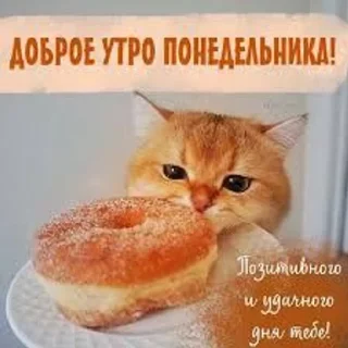 😌 emoji myr уля Telegram sticker 8 of 66