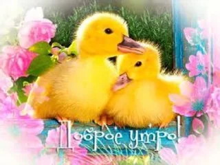 🎁 emoji myr уля Telegram sticker 7 of 66