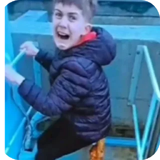 🎢 emoji хз пох Telegram sticker 8 of 9
