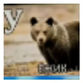 Sticker from Мама ама курминал