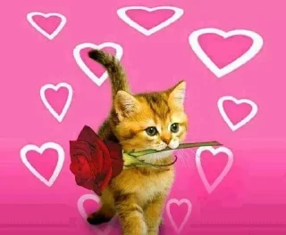 🌟 emoji котики Telegram sticker 4 of 49