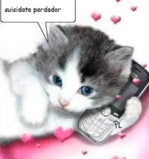 🌟 emoji котики Telegram sticker 15 of 49