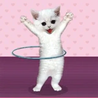 🌟 emoji котики Telegram sticker 2 of 49