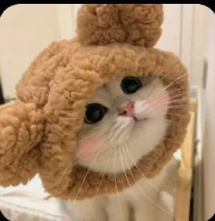 Sticker from Котявки