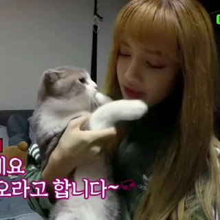 Sticker from ::💖:: only Lalisa Manoban!!