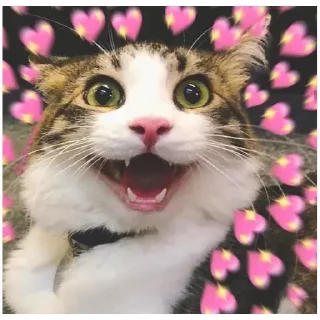 😃 emoji Лунтик Telegram sticker 11 of 80