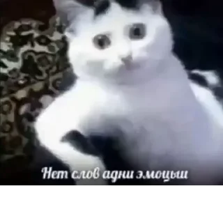 😑 emoji Лунтик Telegram sticker 6 of 80