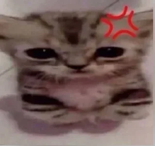 Sticker from ватафак👏