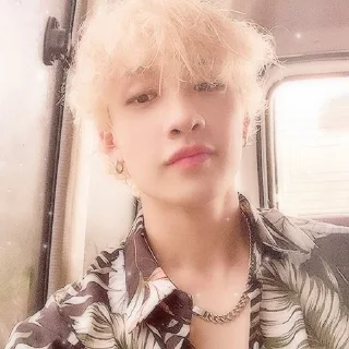 📖 emoji Bangchan by @mathematic_queen Telegram sticker 1 of 15