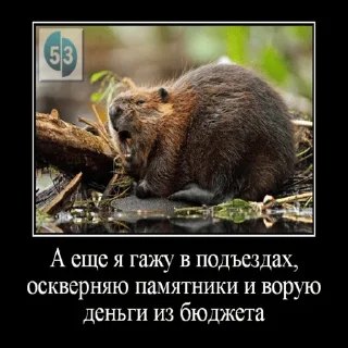 Sticker from бобры для бобрихи