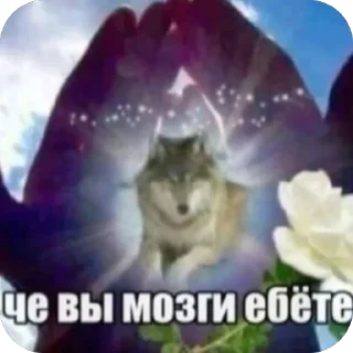 🥰 emoji ig bezizyanov Telegram sticker 15 of 48