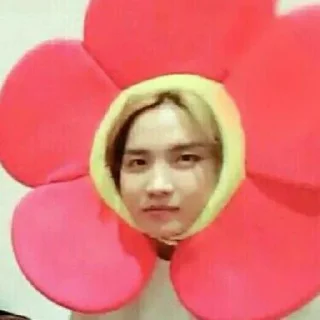 🌸 emoji BTS 2 Telegram sticker 9 of 79