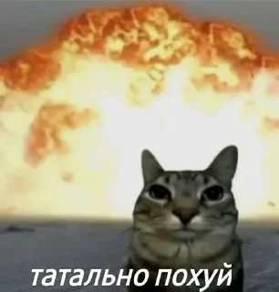 Sticker from Сука блядская Блядь