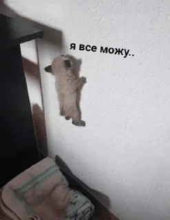 Sticker from наркопритон by @wesstt1