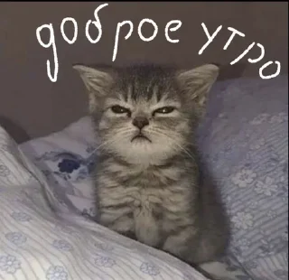 🌟 emoji Андер Челябинск брат Telegram sticker 12 of 12