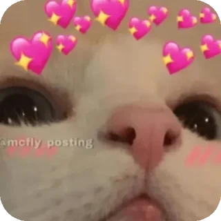 Sticker from ♡кОшАчЬя ОрГиЯ♡