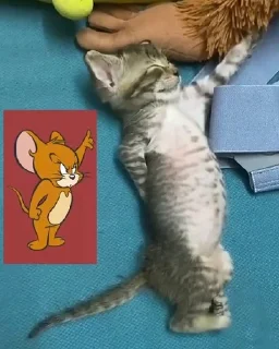 👉 emoji Смешные стикеры Сони 1/2 Telegram sticker 7 of 120
