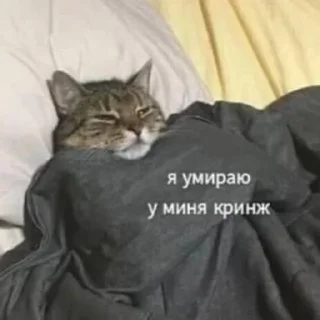 🤒 emoji Смешные стикеры Сони 1/2 Telegram sticker 12 of 120