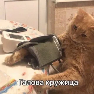 🥴 emoji Смешные стикеры Сони 1/2 Telegram sticker 13 of 120