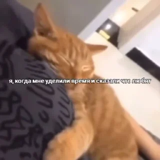 🫂 emoji Смешные стикеры Сони 1/2 Telegram sticker 10 of 120