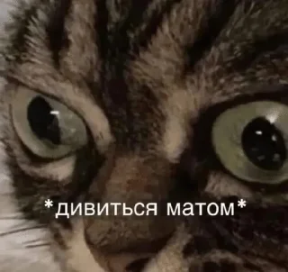 Sticker from для особливо важливих перегово