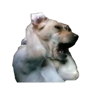 Sticker from На випадок важливих бесід