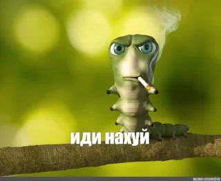 🤨 emoji мрази✌️😂@Nemkaawbdz Telegram sticker 18 of 68