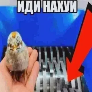 😱 emoji мрази✌️😂@Nemkaawbdz Telegram sticker 20 of 68