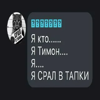 Sticker from Всех в рот ебал его имя Тимон