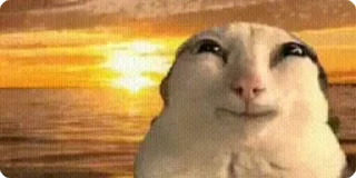 😊 emoji Всех в рот ебал его имя Тимон Telegram sticker 22 of 78