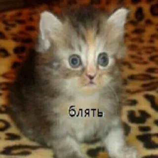 Sticker from Узбеки