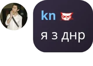 🇨🇿 emoji громадяни СШВ частина 4 Telegram sticker 11 of 120