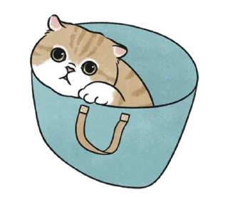 🤍 emoji котик ୨୧ @softsticks Telegram sticker 13 of 32