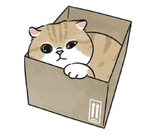 🤍 emoji котик ୨୧ @softsticks Telegram sticker 11 of 32