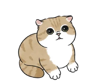 🤍 emoji котик ୨୧ @softsticks Telegram sticker 17 of 32