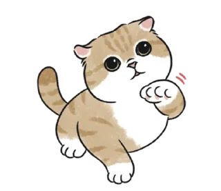 🤍 emoji котик ୨୧ @softsticks Telegram sticker 23 of 32