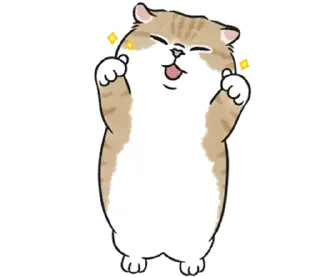 🤍 emoji котик ୨୧ @softsticks Telegram sticker 15 of 32