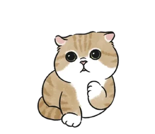 🤍 emoji котик ୨୧ @softsticks Telegram sticker 14 of 32