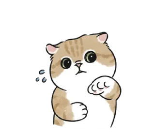 🤍 emoji котик ୨୧ @softsticks Telegram sticker 19 of 32