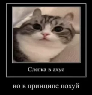 🌟 emoji гифки?? Нет брат стикеры... Telegram sticker 4 of 44