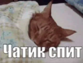 🌟 emoji гифки?? Нет брат стикеры... Telegram sticker 13 of 44
