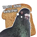 Sticker from Pigeon and philosophy