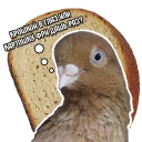Sticker from Pigeon and philosophy