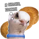 Sticker from Pigeon and philosophy