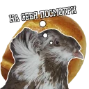 Sticker from Pigeon and philosophy