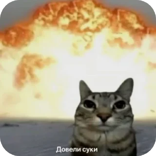 🐱 emoji Тархун @Stikerhi_bot Telegram sticker 23 of 34