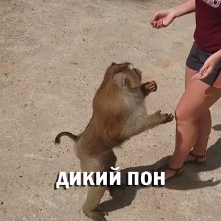 💪 emoji Больше стикеров 👉🏻 @stickertg4 Telegram sticker 9 of 46
