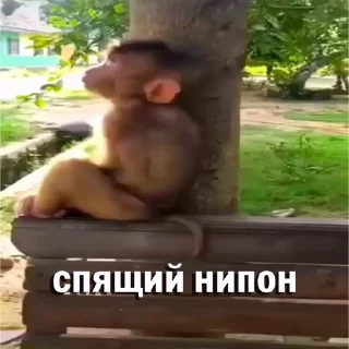 😴 emoji Больше стикеров 👉🏻 @stickertg4 Telegram sticker 13 of 46