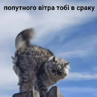 Sticker from Просто шось